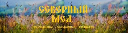 Kiviteli nyilatkozat (EX1) - maga az importőr (Nyilatkozat) Kiviteli nyilatkozat (EX1) - maga az importőr