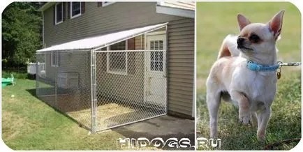 Ház Chihuahua, hogyan lehet egy madárház és egy kis házat egy kutya (fotó) (do) Ház Chihuahua, hogyan lehet egy madárház és egy kis házat egy kutya (fotó)