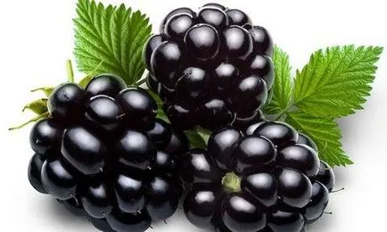 Blackberry hasznos tulajdonságai a részleteket (tulajdonságok) Blackberry hasznos tulajdonságai a részletek