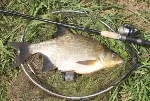 Feeder kezelni saját kezűleg, hogyan lehet és használata (adagoló) Feeder kezelni saját kezűleg, hogyan lehet és használata