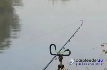 Feeder saját kezűleg