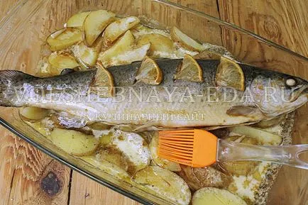 Trout a sütőben