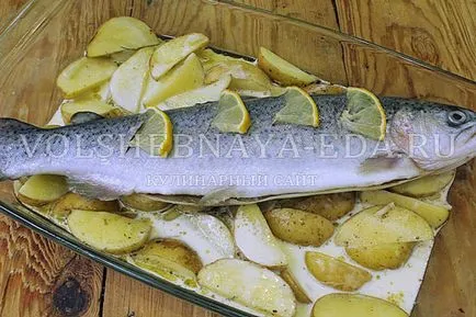 Trout a sütőben