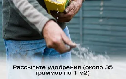 Lawn kezüket fotó, videó utasítás (gyep) Lawn kezüket fotó, videó használati