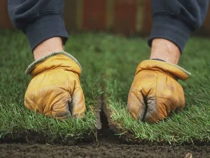 Lawn saját kezével egy fotó, videó utasítás (kéz) Lawn kezüket fotó, videó használati