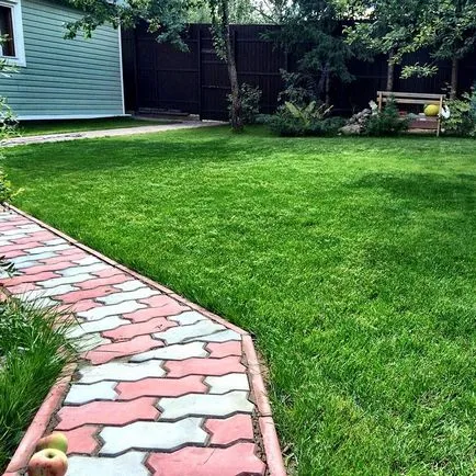 Lawn saját kezével egy fotó, videó utasítás (fotók) Lawn kezüket fotó, videó használati