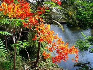Goa (India) - információk Goa - meg kell tudni Goa - emlékeztető turisták Goa - Goa Tours (India) Goa (India) - információk Goa - meg kell tudni Goa - emlékeztető turisták Goa - Goa túrák