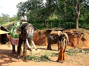 Goa (India) - információk Goa - meg kell tudni Goa - emlékeztető turisták Goa - Goa Tours (Goa információ) Goa (India) - információk Goa - meg kell tudni Goa - emlékeztető turisták Goa - Goa túrák