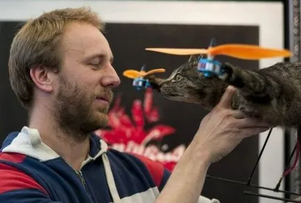 A holland készült egy helikopter az ő kitömött macska (kitömött) A holland készült egy helikopter az ő kitömött macska