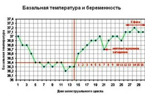 A grafikon a bazális testhőmérséklet