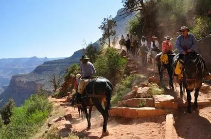 Grand Canyon az Egyesült Államokban, hogyan lehet véleménye (Apache) Grand Canyon az Egyesült Államokban, hogyan lehet véleménye