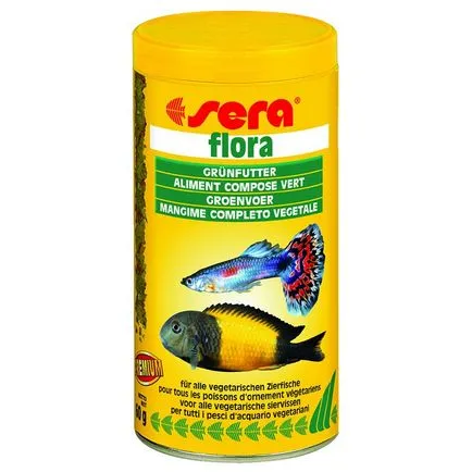 Guppy akvárium kedvenc