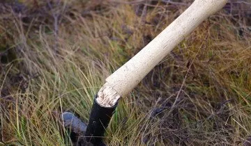 Azt, hogy vágó lapáttal tanácsára szakemberek (lapát) Azt, hogy vágó lapáttal tanácsára a szakemberek