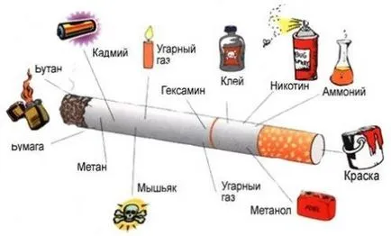 Mit cigaretta vagy, mint te „feed” a tested