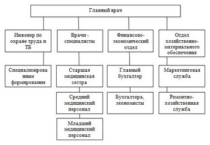 A vázszerkezet egy egészségügyi intézmény egy versenyképes környezetben (standard) A vázszerkezet egy egészségügyi intézmény egy versenyképes környezetben