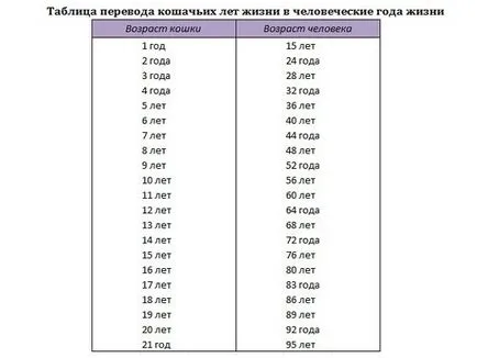 Mi az átlagos várható élettartam a macskák otthon (macska) Mi az átlagos élettartam a macskák otthon