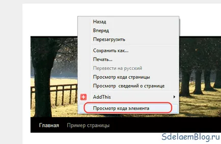 Hogyan adjunk egy keresőmező a wordpress honlap készítés, konfigurációja és előmozdítása helyszínek