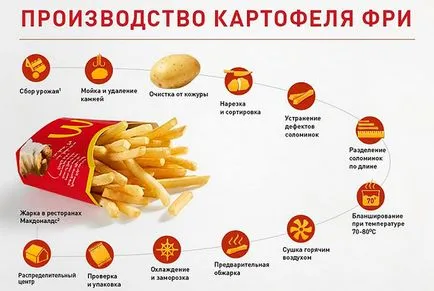 Hogyan készítsünk ételt McDonalds debunk 13 mítoszok (McDonald) Hogyan készítsünk ételt McDonalds lebontják 13 mítoszok