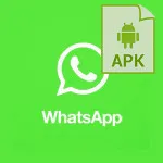 Hogyan kell helyesen konfigurálni vatsap android telefon