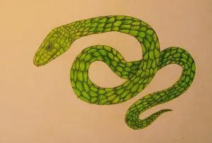 Hogyan kell felhívni a kígyó, fokozatosan felhívni a ceruza, babám