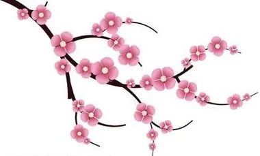 Hogyan kell felhívni Sakura