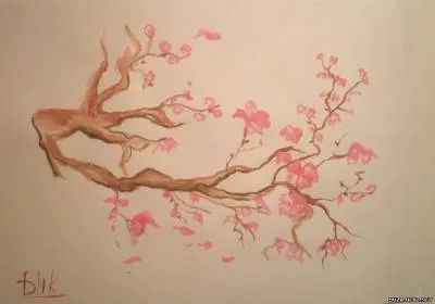 Hogyan kell felhívni Sakura szakaszában (sorsolás) Hogyan kell felhívni Sakura szakaszokban