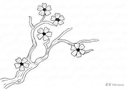 Hogyan kell felhívni Sakura ceruza szakaszaiban