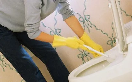Hogyan tisztítsa meg a WC-csésze a vizelet kő
