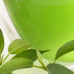 Hogyan mossa a tea foltok bevált eszközök, My puskát (mossa ki) Hogyan mossa a tea foltok bevált eszközök, My puskát