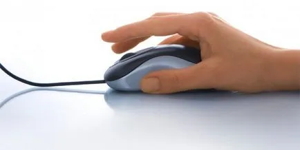 Kereset az interneten surfing