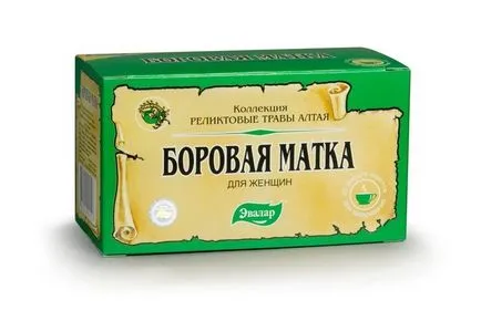 Hogyan inni hegyvidéki méh teherbe esni