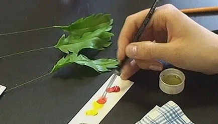 Hogyan kell festeni polimer agyag, akril bevonattal és más, mint a festék, kézi, videó és fotók