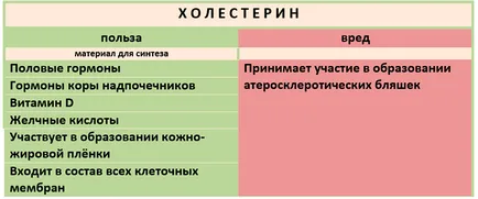 Hogyan lehet csökkenteni a koleszterin a home (alsó) Hogyan lehet csökkenteni a koleszterin otthon