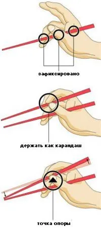 Hogyan enni sushi fotók és videók, „Land of a szovjetek”