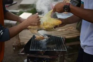 Hogyan, hogy összeszedi a kacsa otthon, kibelezés és mészáros baromfi (NIP) Hogyan, hogy összeszedi a kacsa otthon, kibelezés és mészáros baromfi