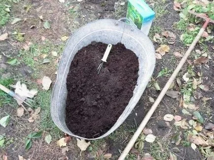 Hogyan ültessünk egy ötödik a ország nyugati, fotó, nyári napon rezidens (fotó) Hogyan ültessünk egy ötödik a ország nyugati, fotó, nyári napon rezidens