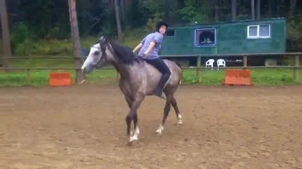 Hogyan kell ülni a lovon