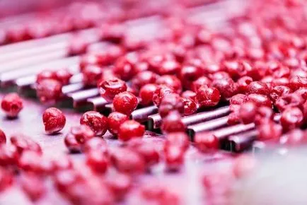 Hogyan befagyasztására bogyók a téli ötletek (jobbra) Hogyan befagyasztására bogyók a téli tippeket
