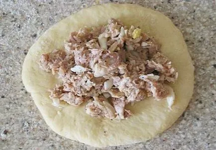 Főzni piték csirke - recept, összetevők és képek (pástétomok) Főzni piték csirke - recept, összetevők és képek