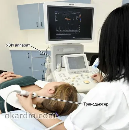 Hogyan lehet ellenőrizni a vérerek az egész test ultrahang és angiográfia, amikor meg kell tenni (hajók) Hogyan lehet ellenőrizni a vérerek az egész test ultrahang és angiográfia, amikor meg kell tenni