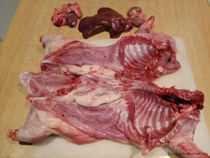 Hogyan növény, és nő nutria