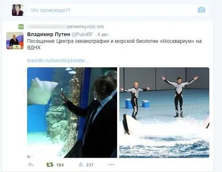 Mint Retweet-en részletes útmutató kezdőknek