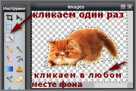 Hogyan lehet a háttérképet átlátható nélkül photoshop hogyan lehet pénzt online (átlátszó) Hogyan lehet a háttérképet átlátható nélkül photoshop hogyan lehet pénzt online