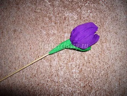 Hogyan készítsünk egy csokor tulipán édességek kezével