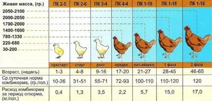 Hogyan készítsünk takarmány brojlercsirkék kezeddel összetétele (etetés) Hogyan készítsünk takarmány brojlercsirkék kezeddel készítmény