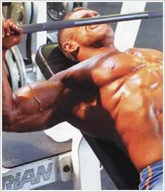 Chest Press