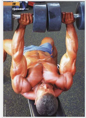 Chest Press