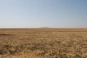Land bérbe 49 évre az állami - mit jelent, hogyan kell bevenni, a regisztráció, hogy mennyibe kerül