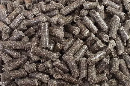 Olaj torta - ez egy után kapott terméket olajkitermelő