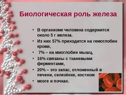 Vas élelmiszerekben és szerepe a szervezetben (részben) Vas élelmiszerekben és szerepe a szervezetben